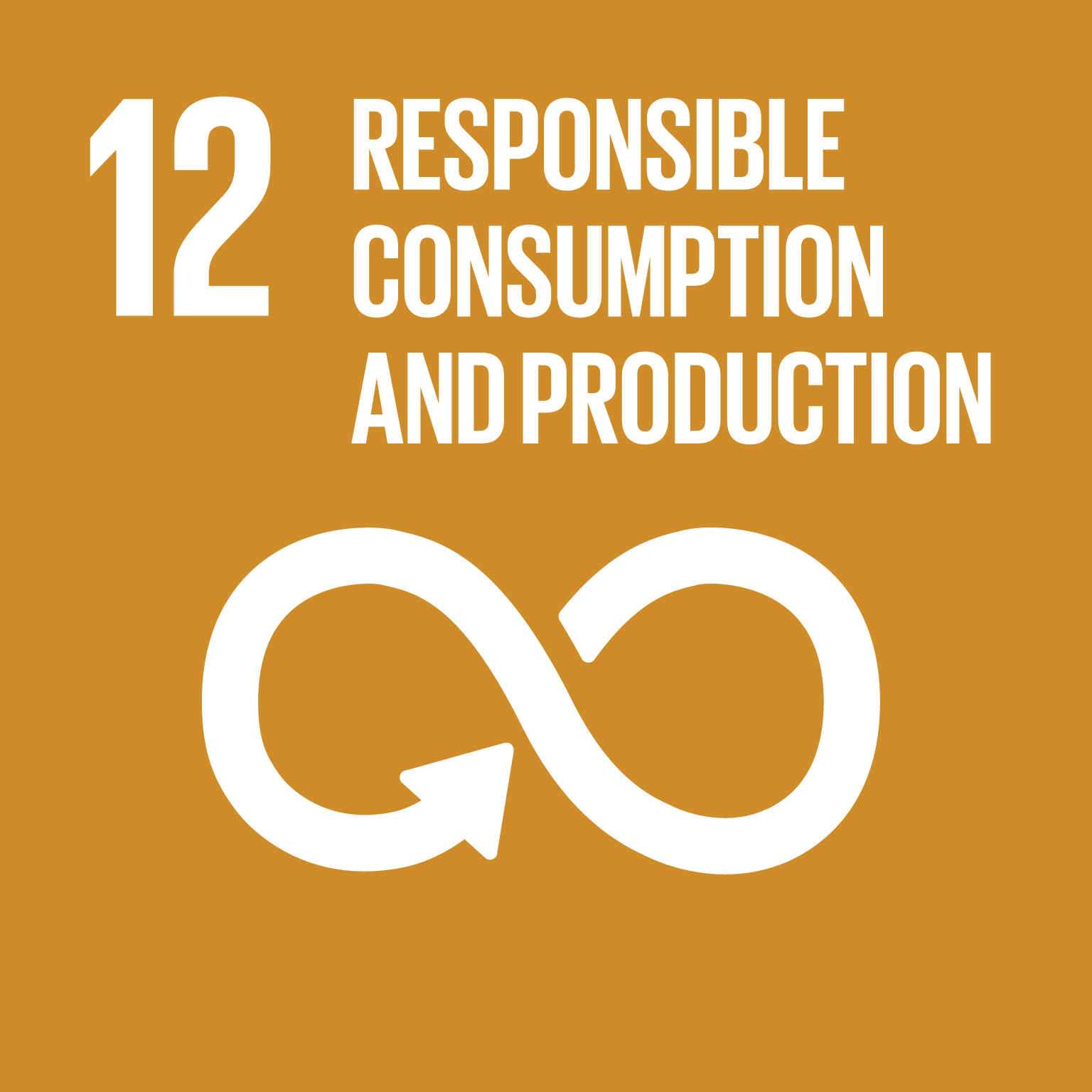 SDG ikon 12